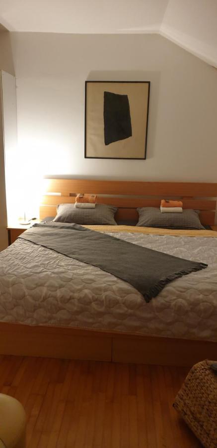 Apartments Bikica Vrnjačka Banja Kültér fotó