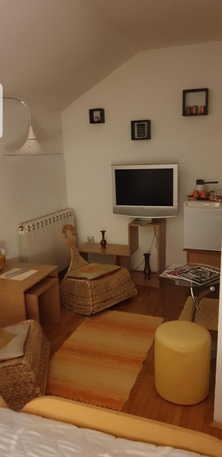 Apartments Bikica Vrnjačka Banja Kültér fotó